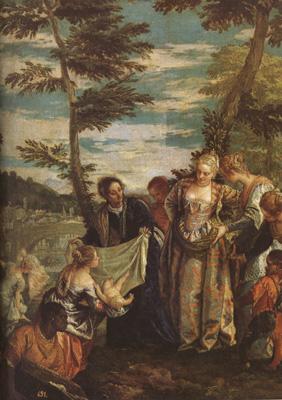 Paolo  Veronese The Finding of Moses (mk08) Sweden oil painting art